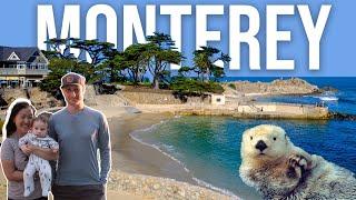 Exploring Pacific Grove and Monterey, California - SO MANY ANIMALS!