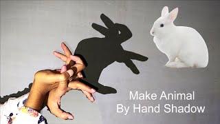 How to Make a Rabbit with Your Hand Shadow