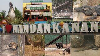 India's 2nd largest Zoo | Nandankanan Zoological Park Bhubaneswar | Nandankanan Zoo full tour