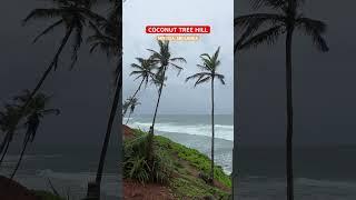 Coconut Tree Hill, Mirissa | Iconic Places of Sri Lanka #mirissa #srilanka