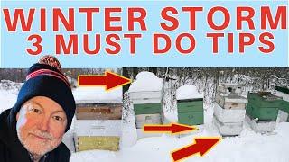 Beekeeping TIPS | Prepare Your Bees For A Winter Storm