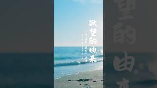 欲望的由来