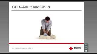 CPR - Adult & Child