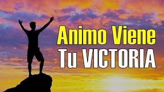 Animo Viene TU VICTORIA