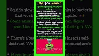 Did You Know Cow have  Over 100 trillion Bacteria.