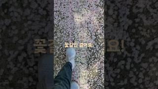 2024년 4월 14일
