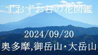 奥多摩、御岳山・大岳山