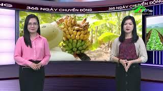 365 ngày chuyển động 20/03/2024 - Tin tức nông nghiệp | Lâm Đồng TV #thờisự