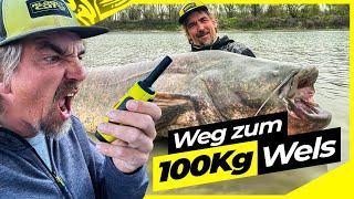 Der WEG zum 100 Kilo WELS !! | Angeln außerhalb der Komfortzone !! | Welsangeln mit FUNK