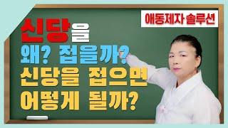 [애동제자 솔루션] 신당을 접게 되는 순간! l 신당을 접으면 어떤 일이 벌어질까? ㅣ 제자분들 신중 또 신중 하셔야 합니다!!!