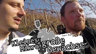 #asktoni - kleines Mikro, große Gewächse - Moritz Haidle