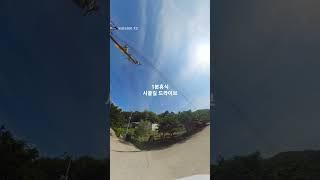 (1분휴식)시골길 드라이브 #1분힐링 #1분 드라이브