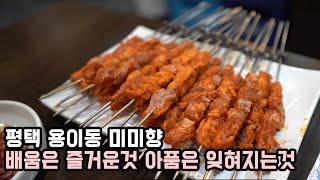 경험은 즐거운것 아픔은 잊혀지는것 feat. 평택 용이동 맛집 미미향