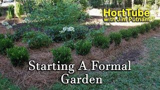 Starting a Formal Garden - Planting Baby Gem Boxwoods and Sunshine Ligustrum