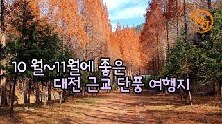 추천, 대전 근교 단풍 좋은 곳 -옥천 장령산. 논산 온빛자연휴양림/가볍게 떠나자(A nice place with autumn leaves near Daejeon)