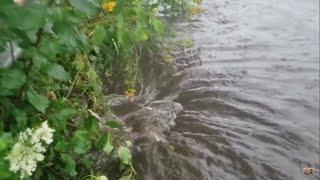 Draining A Flooded Street On A Stormy Day