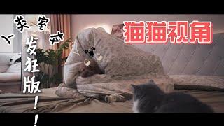 猫猫眼中我的宅家日常 终于把这猪肝色门改掉了！！！你们猜我到底刷完了没有