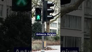 Diaries of a Shopify App Dev - Bugs in Belgium #ecommerce #appdev #shopify #dropshipping #appdev