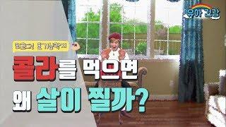 [유아 건강교육] 최고다! 호기심 딱지 - 10차시. 콜라를 먹으면 왜 살이 찔까?