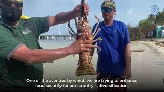 Sustainable Fisheries in Belize