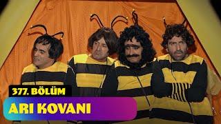 Arı Kovanı - 377. Bölüm (Güldür Güldür Show)