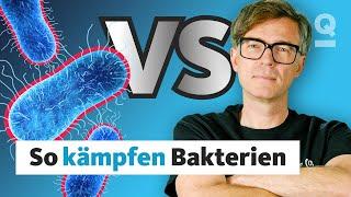 Bakterien gegen Mensch: Wer wird gewinnen? | Quarks Dimension Ralph