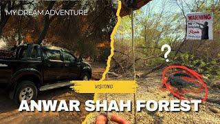 VISITING Sufi ANWAR SHAH Safari/FOREST  | DR KHURRAM VLOGS