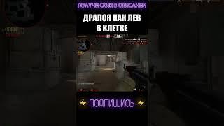 ЛЬВИНАЯ ВОЛЯ К ПОБЕДЕ #shorts #cs #csgolive #csgoclips #кска #ксго #кс #го #go #ксгоприколы