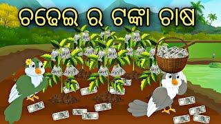 Chadhei ra Tanka Chasa || Odia Stories || Odia Gapa || Odia Cartoon || Odia Bird Stories || Kahani