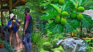 Home atmosphere in the village | Making a new seedling house | enjoy steamed breadfruit and coffee