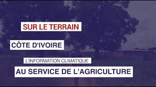 Côte d'Ivoire : L'information climatique au service de l'agriculture