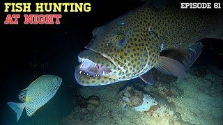 NIGHT SPEARFISHING EPISODE 81 | FISH HUNTING AT NIGHT