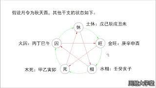 九龙道长基础课第215集 八字案例+身强身弱判定方法的探讨+袁春生投稿