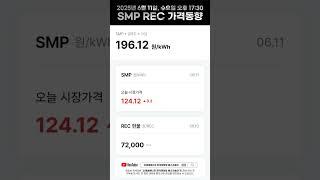 SMP/REC 금일 시장동향 2025.06.11. 수요일 #SMP #REC #전력거래 #한전 #시장동향 #태양광 #현물시장 #REC매매 #RE100 #신재생에너지