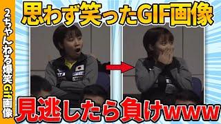 【面白gif総集編】笑ったら負け！何度見てもおもしろい厳選gif画像集ww by 2ch【コメ付き】【ゆっくり解説】【2chスレ】【5ch】