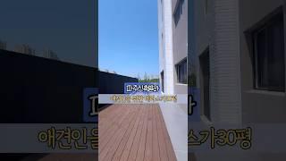 파주신축빌라 애견인을 위한 파주테라스빌라 테라스길이만 50M가 넘는길이~~ #파주역세권빌라 #야당역테라스빌라#파주신축빌라
