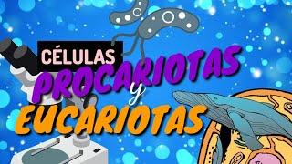 CÉLULAS PROCARIOTAS VS EUCARIOTAS, aprende lo más importante en 5 minutos[GUÍA EXAMEN UNAM BIOLOGIA]