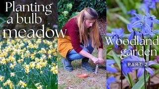 Creating A SPRING BULB MEADOW  Planting Daffodils, Muscari & more in Grass (Woodland garden p2)