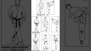 KARATE KICK TECHNIQUES #karatesir #karate #martialarts