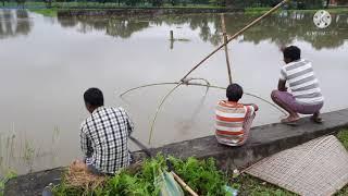 Fishing with Bamboo and Net | Best fish catching technique