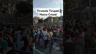 Tirumala Tirupati Crowd 2 Days to go brahmotsavam 2024