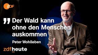 Sind unsere Wälder noch zu retten? | Precht im Gespräch mit Förster Wohlleben