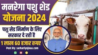 MNREGA Pashu Shed Yojana 2024: How to Apply and Benefits Exp