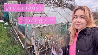 Cleaning up after the Storm | what do I do now?! | Allotment Vlog Ep.42 ️