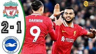 Liverpool vs Brighton 2-1 Highlights & All Goals 2024 HD