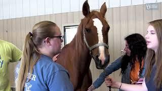 Major in animal science at the University of Delaware