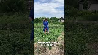 Маршрут перестроен#деревня #дача #садоводничество #огород #частныедома #деньвдеревне #огород #сад