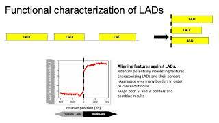 MCB 182 Lecture 10.2 - DamID for mapping protein-DNA interactions