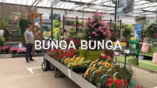 Bunga bunga