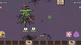 Pocket Ants PvP #10 Against top players